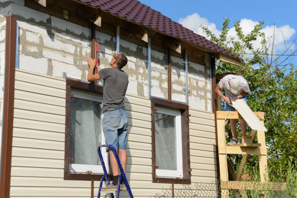 Best Siding Replacement  in Bloomer, WI